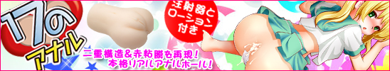 17 ʥ