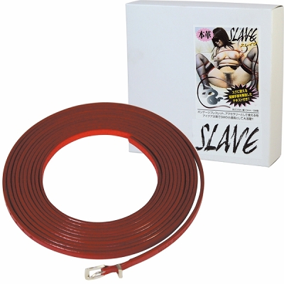 SLAVE(쥤)å