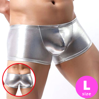 ᥿åСܥL ZDF004SL
