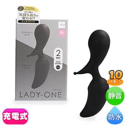 LADY-ONE֥å