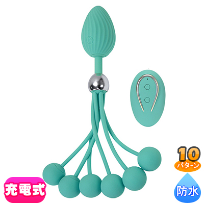 D&F ե󥭡쥯 DF-10