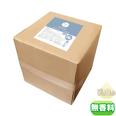 HOKUTO �ܥǥ������� 20L ���å��ʤ�
