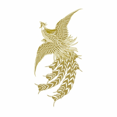 TATTOOʥȥ Regulare 216<br><font color='#ff0000'>560</font><br><font color='#444444'>(ǹ616)</font>