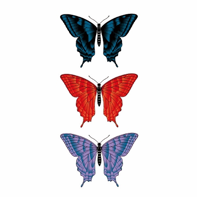 TATTOOʥȥ Regulare 220<br><font color='#ff0000'>560</font><br><font color='#444444'>(ǹ616)</font>