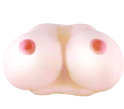 ܤ䤱ƸˤǤ<br>ë֤ιʢα̤֡