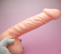 Ƥߤޤ<br>Ĺ26.5cm¡6.0cm