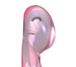 GݥåȤɷ㤹롢ʷǤ