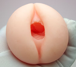 ѥ빽¤GݥåȤ