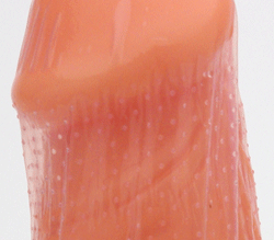 Τ˥ɥåȤޤ