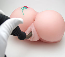 ʥݥȤľ⡪<br>ɤǤϤޤ