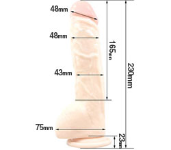 Ĺ22.04.0<br>ͤˤƤΩɤʰݤǤ