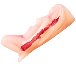 ʣʱ̹¤ǥꥢ륤󥵡Ȥɵᡣ
