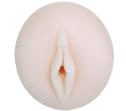 ̤Ǥ