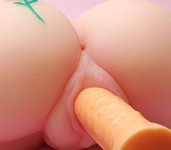 MޡƤߤޤ<br>ꥢʴ¤ΥܤⵤɾȽ