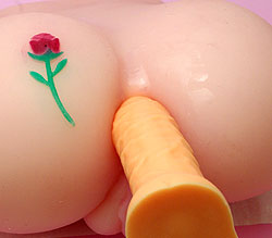 M򥢥ʥˤƤߤޤ<br>¤ΰ㤤2٤
