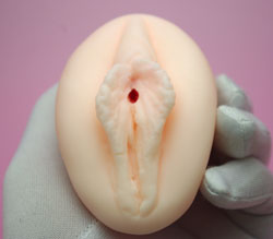 ҥ꡼̤ζ˶ƻ<br>ӥåȵͤޤä͵