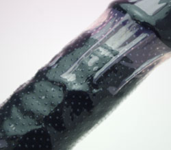 奤᡼Ǥǡ<br>1350ĤΥĥֲù
