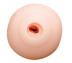 ץʤ