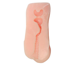 ̿ޤǤ<br>ҥ¤ȡХ塼ݥåȤ2ܡ