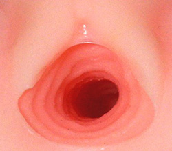 ͻҤǤ<br>Ӥäĥ餵줿ҥФǤ