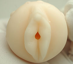 ΤԤ˥ƥ͡