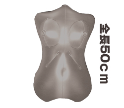 Ĺ50cm<br>ĹǤ