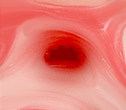 ʪΤ褦¨ְ㤤ʤ
