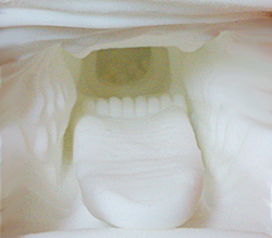 ʪͤ夬΢ڤӤӤᤷޤ