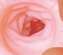ܤȥҥ֤°ʥޥǤ