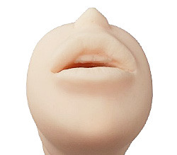 ȿΥޤǥꥢ˺ƸƤޤ