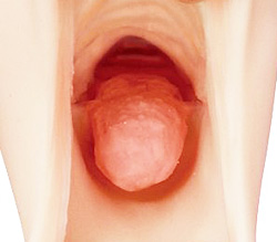 ǤޤǥåȤ<br>ޤǤޤǤ