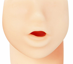 ̵ʸޤ