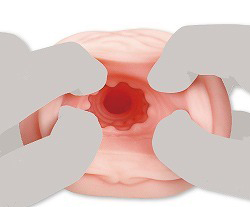 ̵Υҥȥܤˤɷ㡪