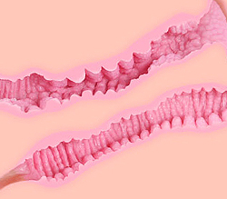 ʤΥʤϹɷΥܹ¤<br>ʤΥʥŻĤҥ¤