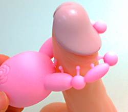 Τ˿ưϤޤǰľ