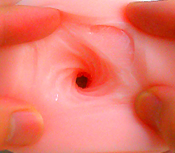 ĶեȤϥޥåȤɷǵƬߤĤ