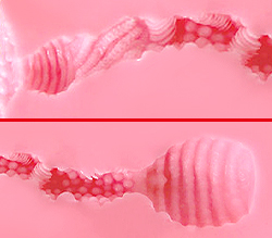 ȥ͡ɾ¤˿ϹΥХ塼ॹݥåȡ