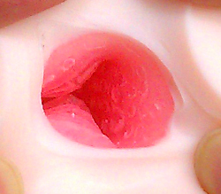 ̰ƻ֥ޥ