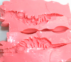 ܳŪ̡ŪХåΥ󥰥Ѳڤޤ