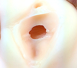 ĤϤޤä