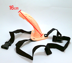 ʬ16cm΢ڤˤ祤ܤħŪ