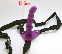 ʬ15.5cm¤ܻ̮褵ޤ