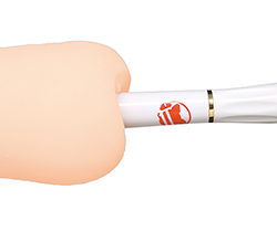 գӣüҤ³ۡ5ʬˤݤäݤʥۤˢ