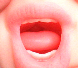 ݤäƤ꿰ȥꥢʻͥޤ롣