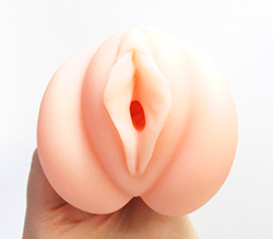 Ǥ