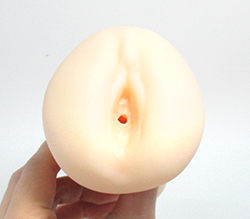Ǥ