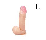 ǥ 