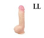 ǥ ̣