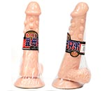 췻 ڻ ¿