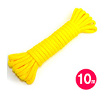 եȹ«10ʿˡ